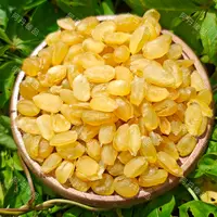 【阿丹臻品】皂角米 农家土特产（已开价）