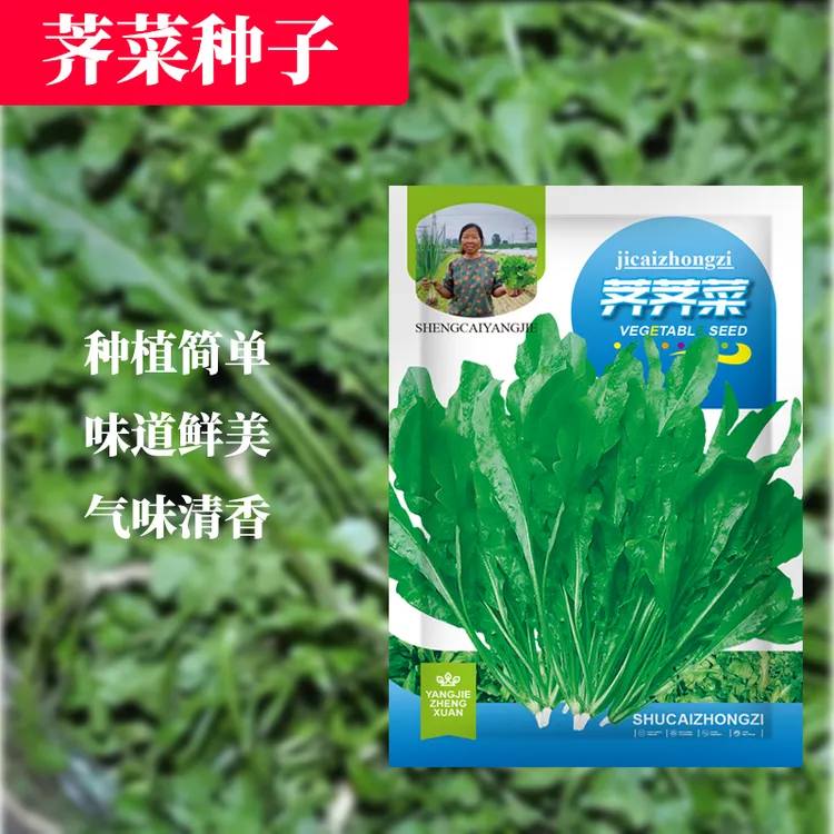 【杨姐推荐】荠菜种子春冬季四季播种农家田园盆栽蔬菜种子