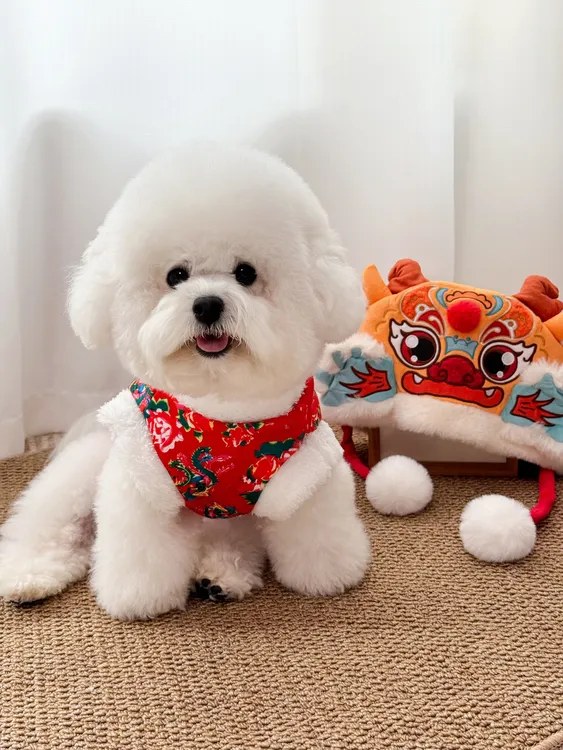 宠物狗狗衣服猫咪新小中大型年喜庆东北大花袄加厚保暖秋冬衣服