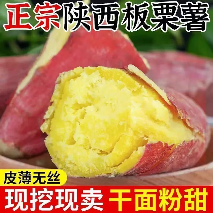 陕西板栗新鲜皮薄肉厚红薯农产品香甜粉糯黄心番薯地瓜现挖现发