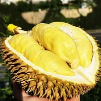 【金枕鲜果榴莲】树熟干包榴莲 单颗3-5斤左右 只限山西省内可拍