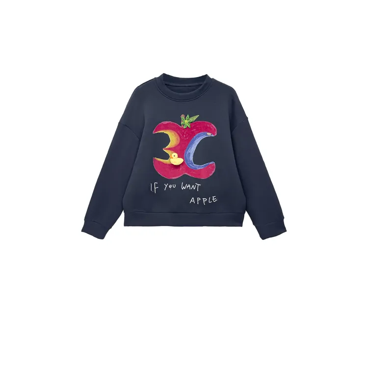 【亚楠本楠】苹果卫衣◆立体小黄鸭刺绣印花加厚圆领卫衣9108