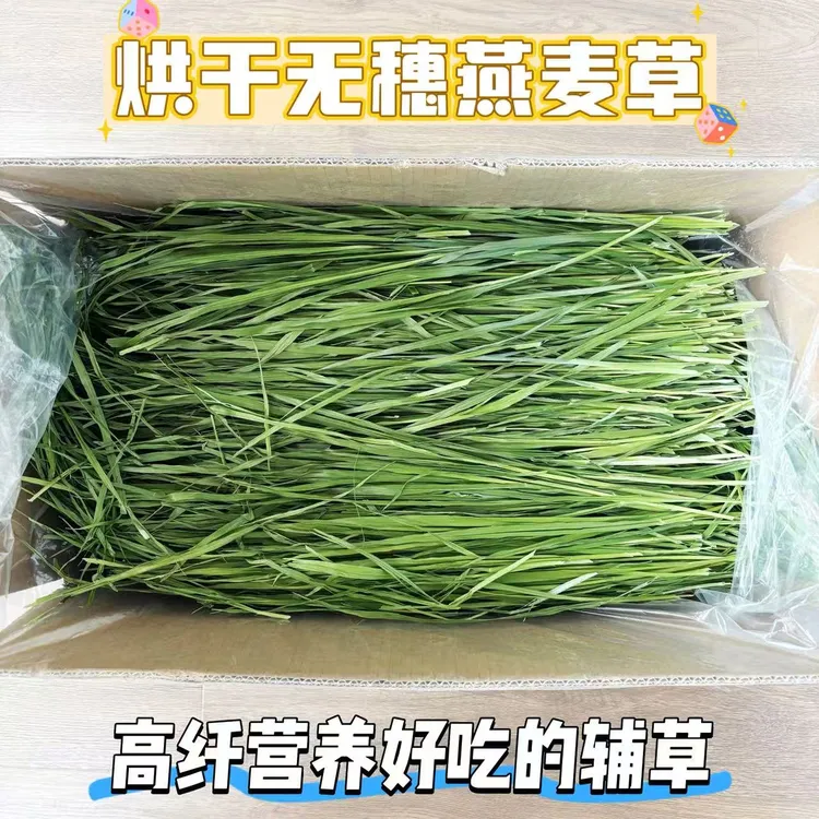 26年烘干无穗燕麦草兔子龙猫荷兰猪小宠营养辅草新草禾本科牧草