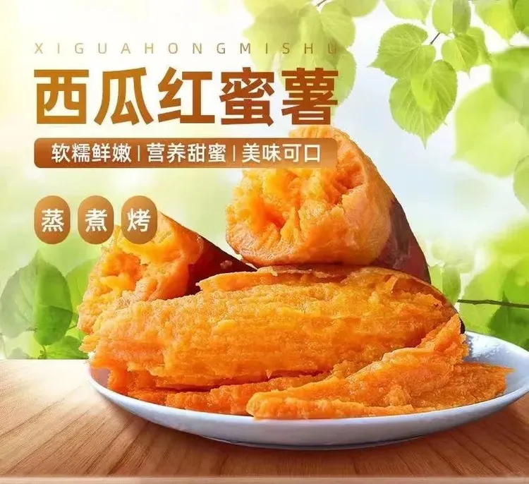 河南开封沙地西瓜红蜜薯