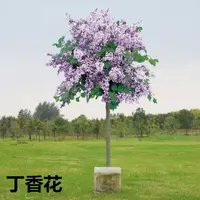 丁香花树苗浓香花苗花卉植物耐寒庭院绿化四季室外别墅紫丁香盆栽