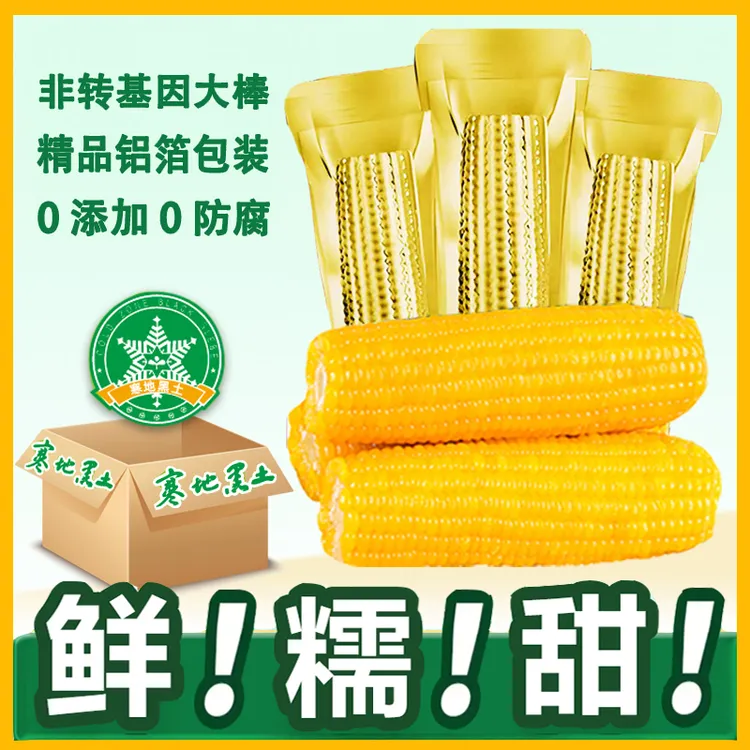 【可试吃2根】10支黄甜糯苞玉米真空包装玉米单支280-350克甜糯