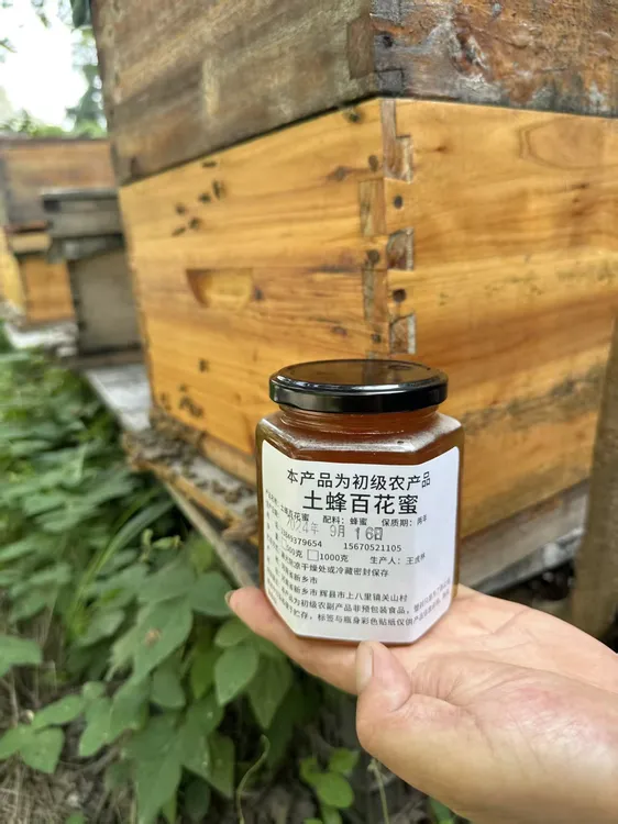 野花土蜂蜜(真正的)源自深山悬崖土蜂秋蜜498g
