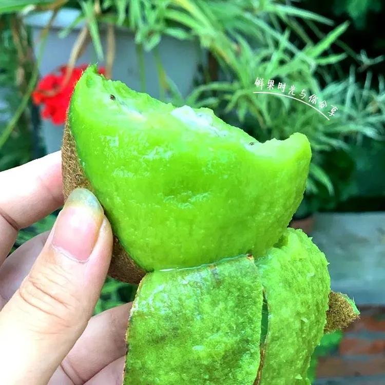 【欣雨专属】陕西徐香绿心猕猴桃新鲜水果香甜多汁现摘现发