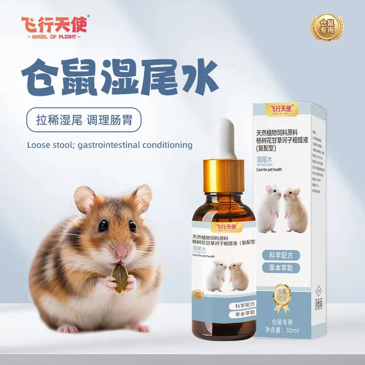 飞行天使仓鼠湿尾水金丝熊湿尾症拉稀软便龙猫腹泻水便调理肠胃