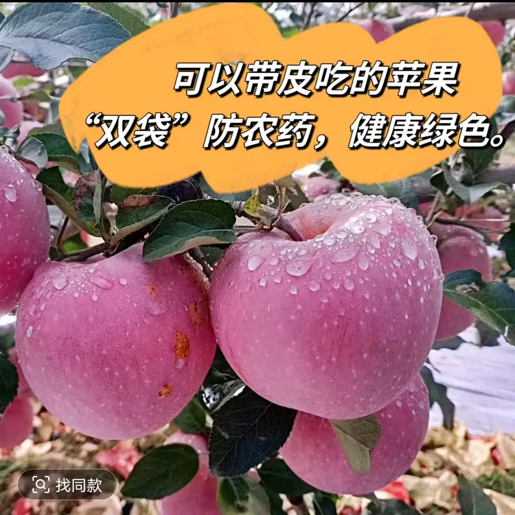 【山西双袋苹果】红富士水裂纹水晶苹果新鲜水果脆甜多汁单果75mm起