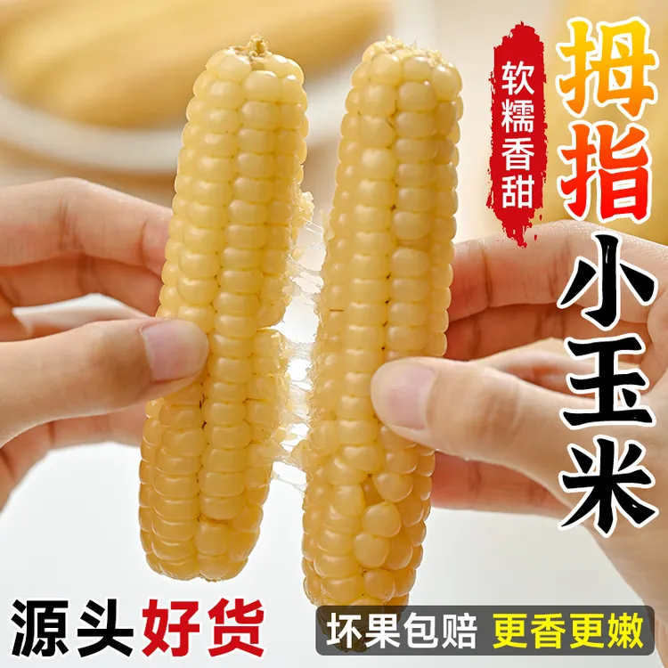 西双版纳拇指玉米正宗宝宝儿童代餐香糯甜新鲜真空早餐手指玉米