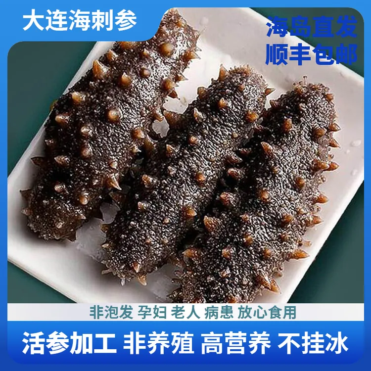 【活参加工9A级辽刺参】现发大连海捕海参国产即食海参顺丰冷链包邮