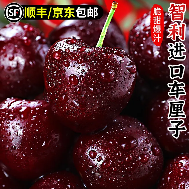 【现货速发】智利进口车厘子空运桑提娜礼盒J-4J新鲜水果内附果径卡