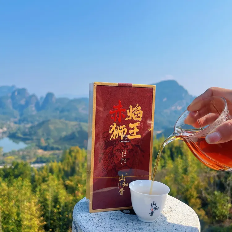 武夷岩茶中火透赤焰狮王肉桂正岩品鉴装送礼佳品