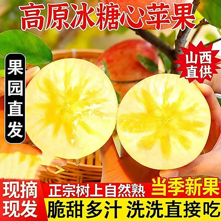 果中邢【加保温层】高山正宗红富士苹果脆甜冰糖心现摘原产地