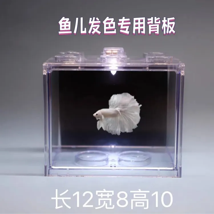 鱼儿发色背板适配积木缸方便捷微景观观赏性桌面缸泰国斗鱼孔雀鱼