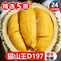 【保5房】马来西亚猫山王D197榴莲液氮冷冻3-5斤绵密丝滑 顺丰京东