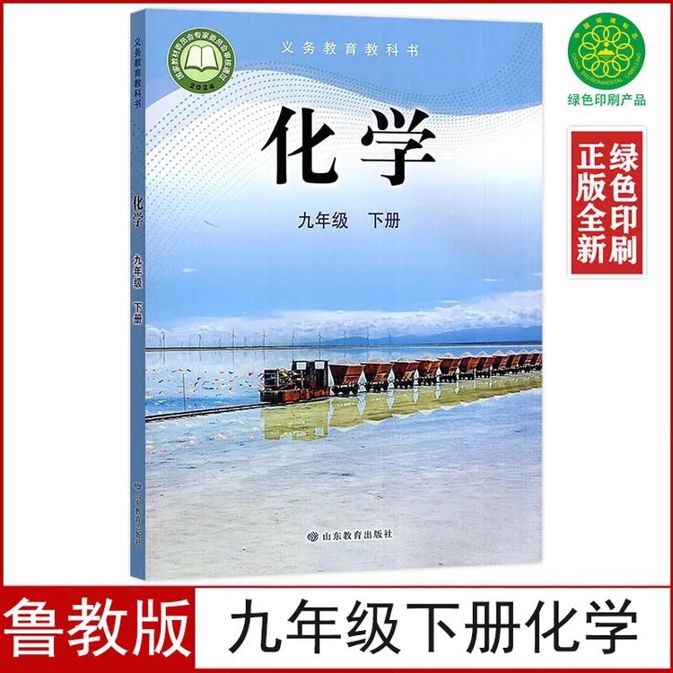 新华书店正版教材初中鲁教版九年级下册化学课本教材九下化学书