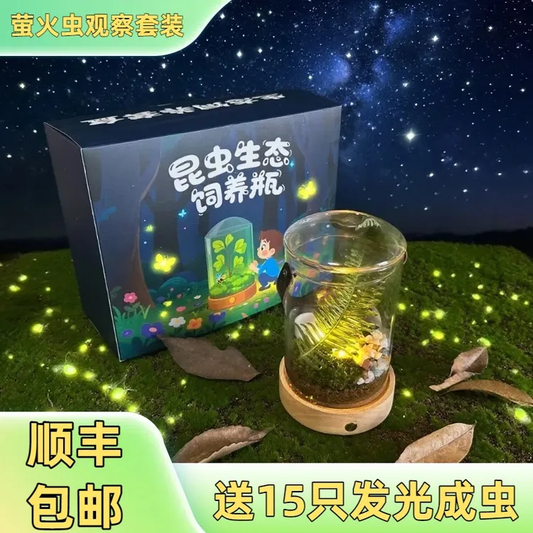 萤火虫人工饲养瓶可发光儿童diy礼物情侣礼物