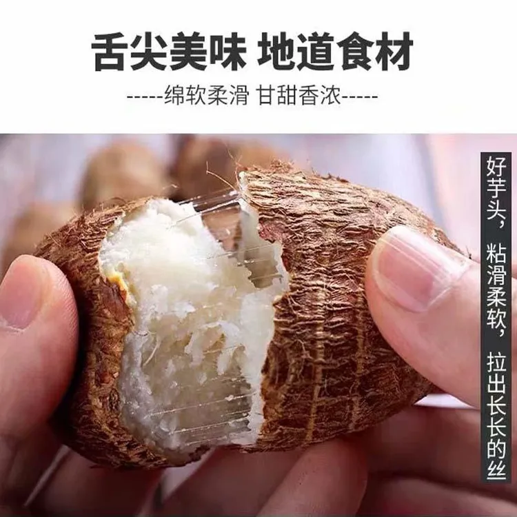 新鲜芋头山东牛奶芋艿莱阳小芋头仔现货农家毛芋头糯5斤包邮