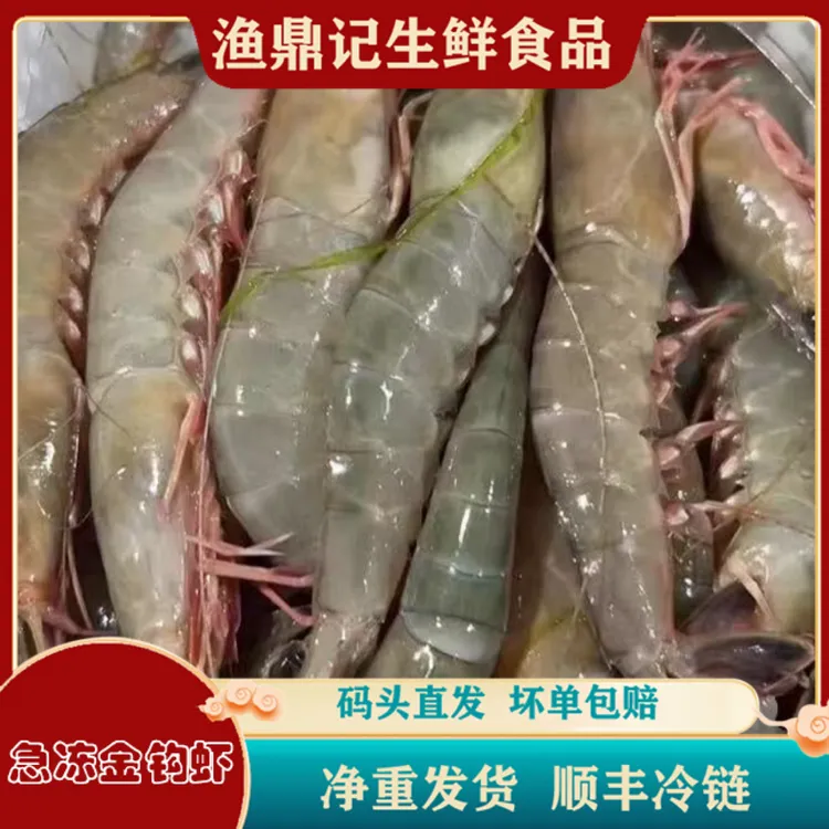 吕四野生新鲜金钩虾 滑皮虾 条虾  江浙沪皖顺丰包邮 坏单包赔