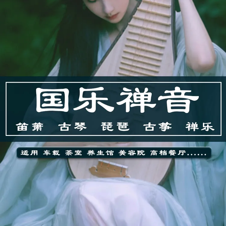 【国乐禅音】车载u盘纯音乐古琴古筝琵琶静心五音疗愈音药轻音乐
