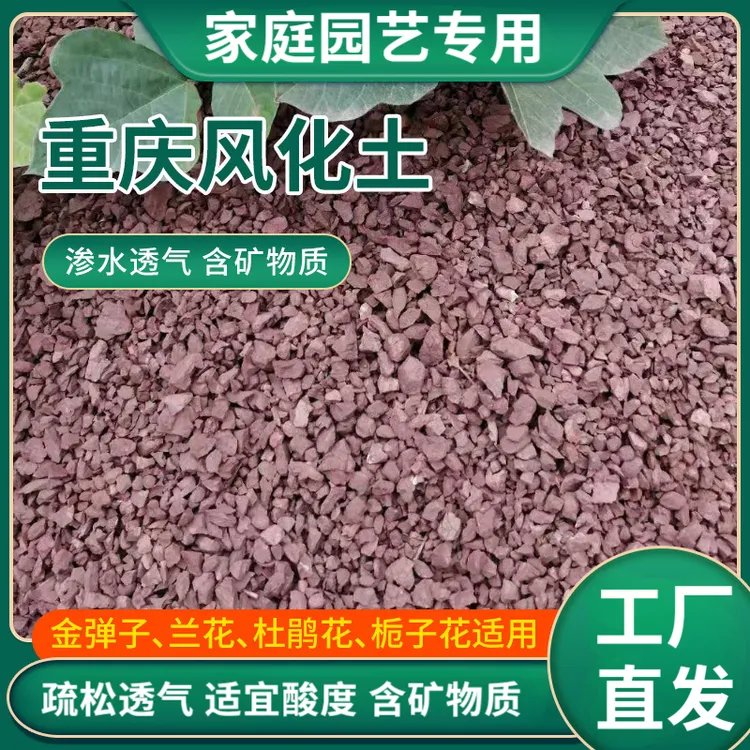 风化土颗粒土金弹子兰花簕竹专用营养土扦插生根黄杨盆景种植基质