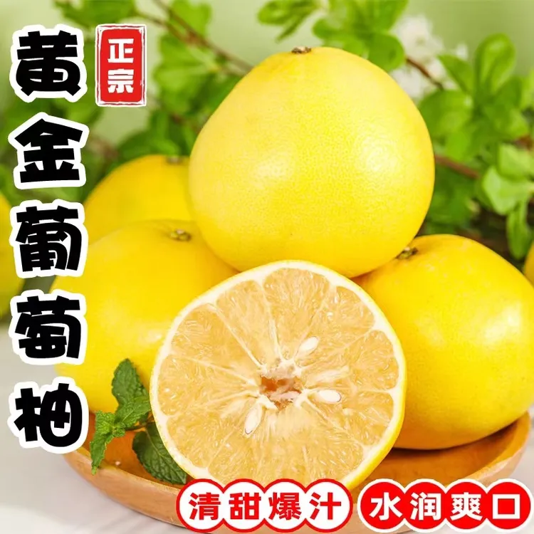 福建平和柚子黄金葡萄柚爆汁香甜时令水果福建爆汁葡萄柚新鲜产地