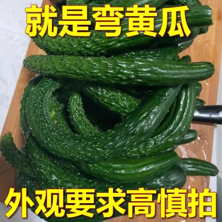 （农家自种）新鲜小弯黄瓜口感脆甜，可腌菜，生吃，凉拌现摘现发