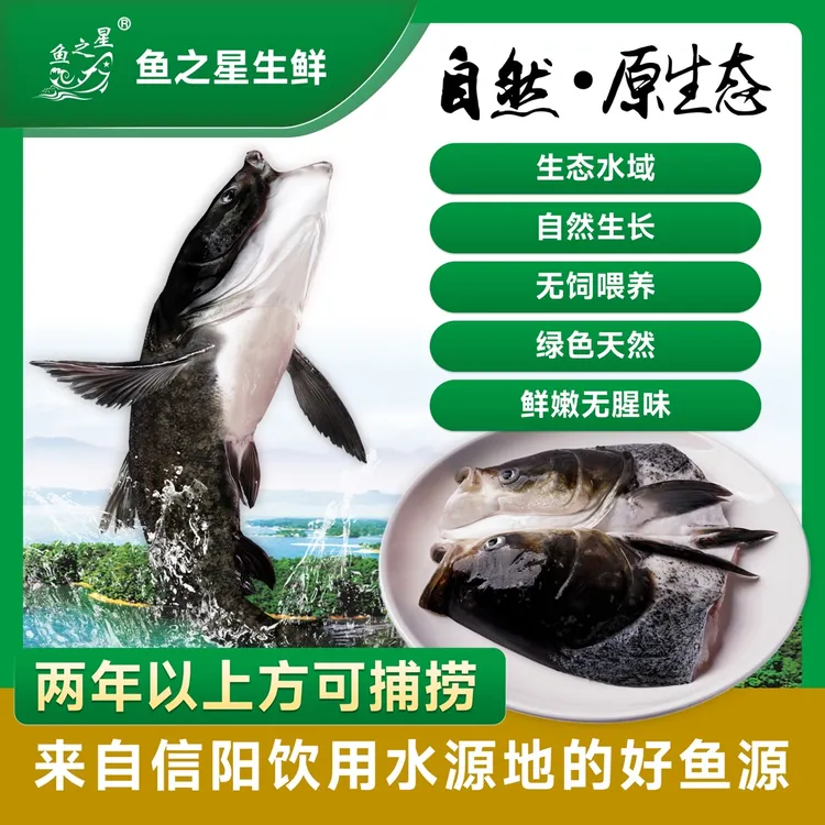 【鱼头】肉质鲜嫩 无土腥味 营养丰富 100%活鱼分割 