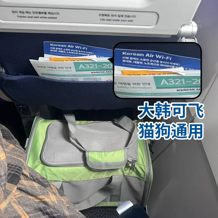 大韩航空猫包宠物航空软包进飞机客舱外出便携狗包可拓展登机包
