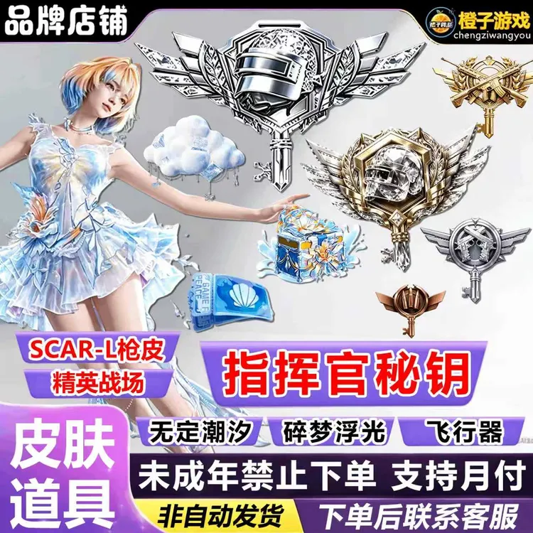 和平精英指挥官隐藏款秘密钥碎梦浮光珍宝昵称礼盒禁止未成年下单