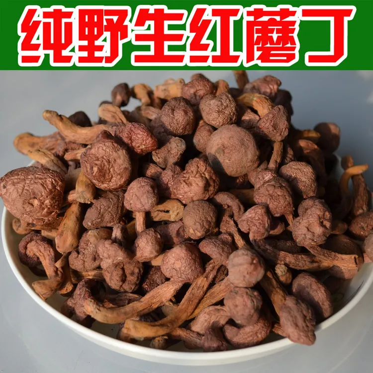 野生红蘑丁干货松树伞松蘑菇东北大兴安岭特产红蘑菇自然晾晒新货