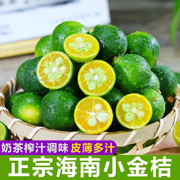 海南小金桔新鲜水果5斤当季青金桔柠檬奶茶专用整箱小青柠檬桔香