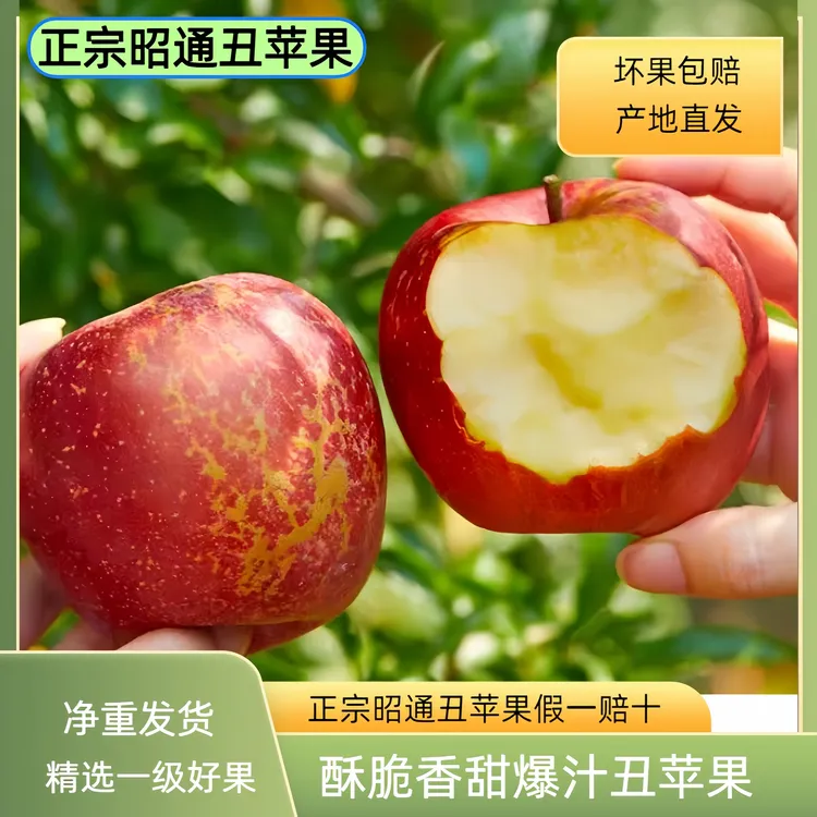 正宗昭通冰糖心丑苹果嫩脆多汁红富士当季新鲜水果批发整箱包邮