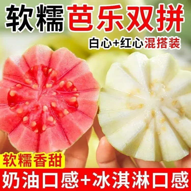 正宗广西新鲜白心红心珍珠芭乐软糯香甜奶油口感当季水果番石榴