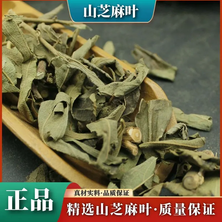 正宗野生山芝麻叶新货正品精选小叶山芝麻新鲜散装干货叶菜包邮
