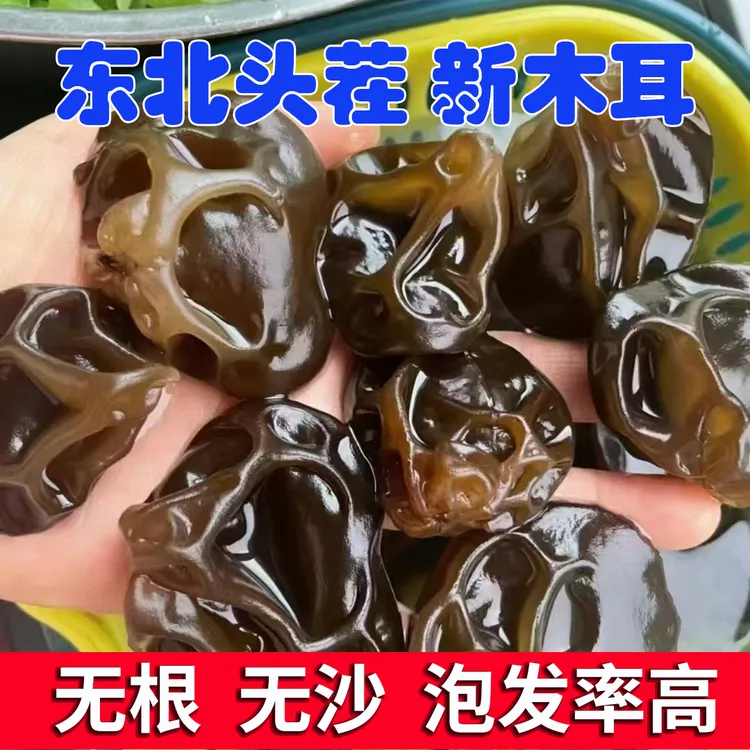 东北特产头茬秋耳秋木耳黑木耳正宗肉质厚实无根无沙纯天然晾晒