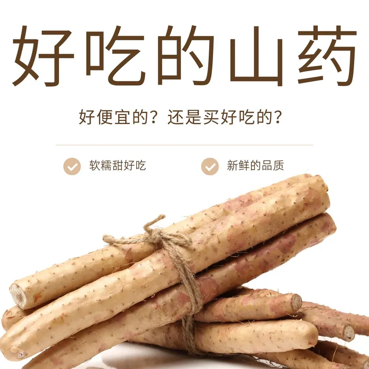 【正宗铁棍】山药铁棍河南焦作温县垆土铁棍山药正宗产地小白嘴山药