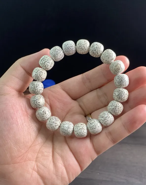 毕业收藏级海南毛感料大尺寸星月菩提13×12短桶珠老刀型