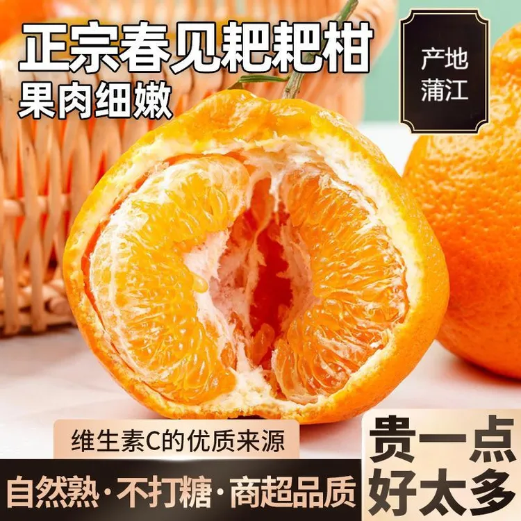 助农正宗四川高山春见耙耙柑源头产地直发应季水果
