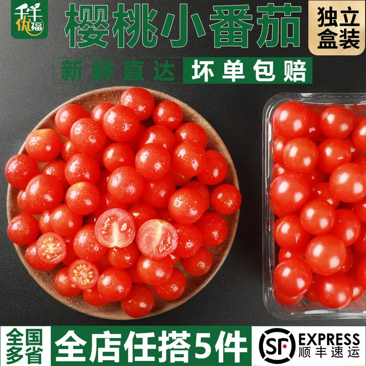 千牛优福YIKECAI小番茄 小西红柿现摘新鲜串红樱桃番茄千禧圣女果