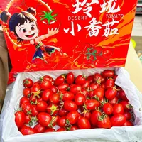玲珑小番茄礼盒 毛重2斤左右千禧圣女果