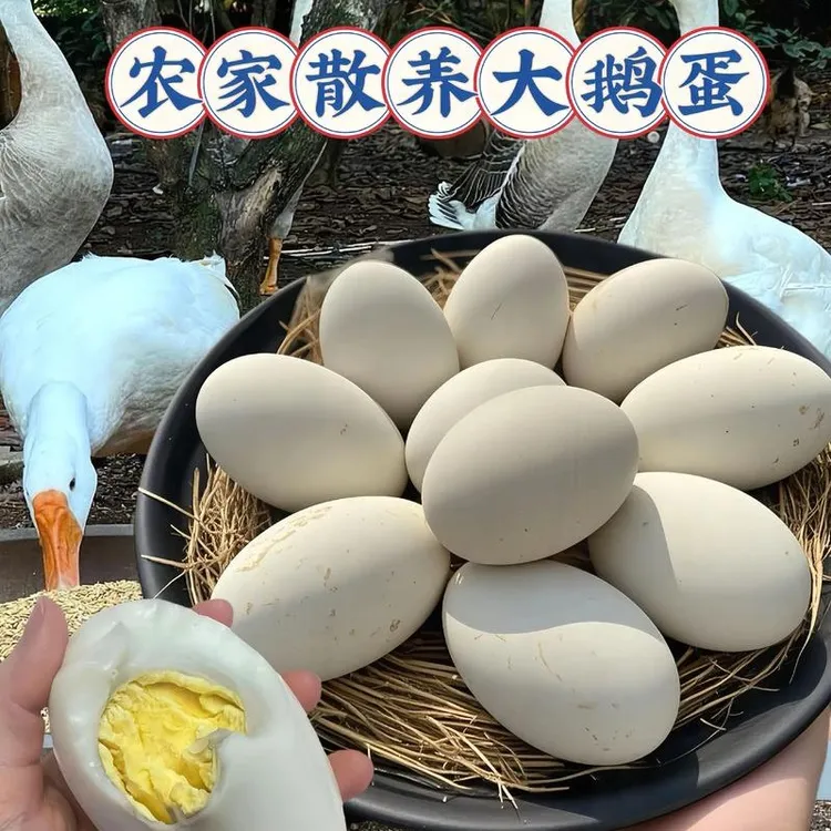 农家散养新鲜土鹅蛋现捡现发杂粮喂养孕妇宝宝营养破损包赔