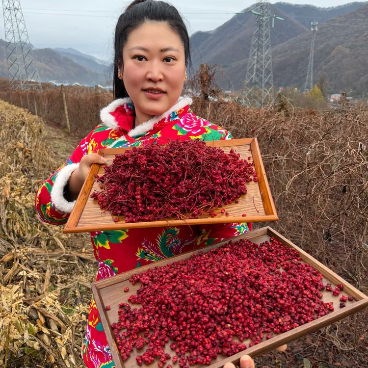 正宗树熟五味子长白山北五味油籽泡酒泡水喝自然晒干无硫磺