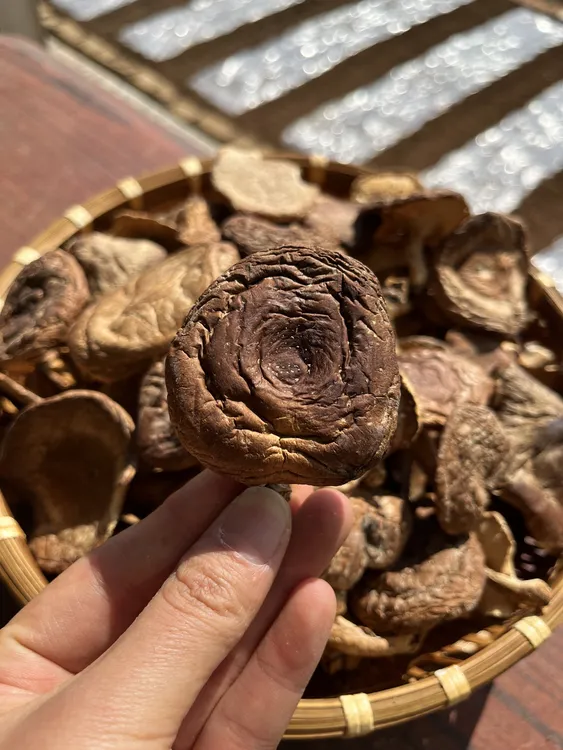 【拍1发2】云南高原山货土特产—小香菇香信菇100g