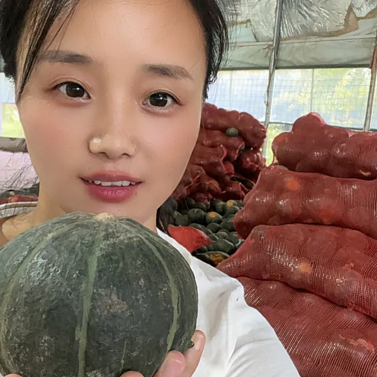 内蒙贝贝南瓜软糯香甜味可做宝宝辅食健身粗粮
