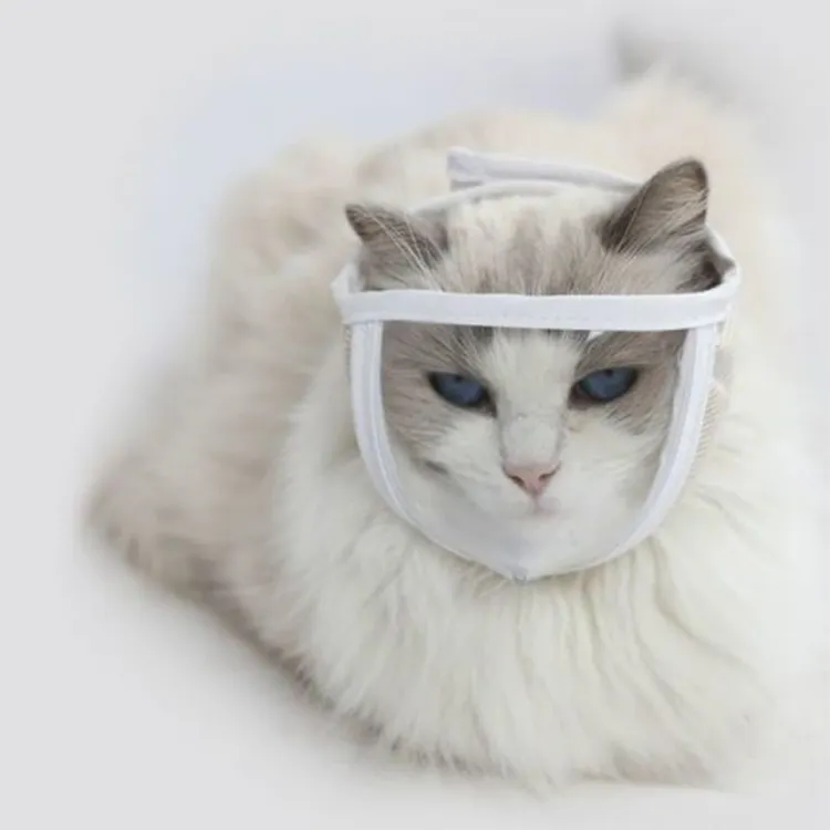 【宠大条】猫嘴套防舔防咬防叫透明眼罩猫咪面罩清洁美容透气