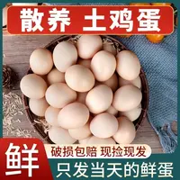 贵州深山正宗农家散养土鸡蛋天然谷物喂养营养丰富