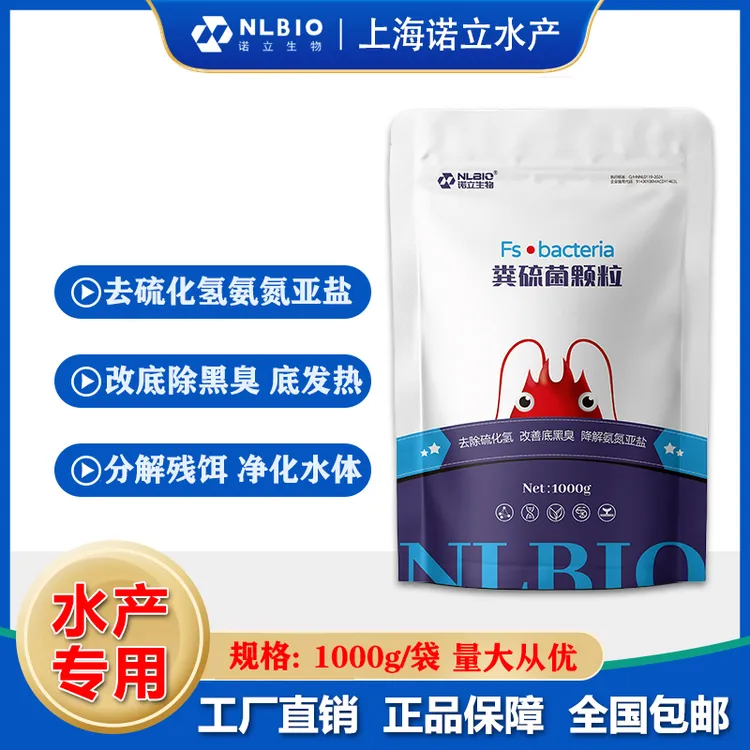 618活动诺立官方粪硫菌颗粒菌团改善硫化生物抑菌水产养殖专用